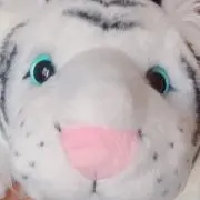 かぬれの画像