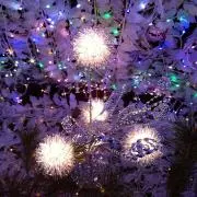 gino.R.Sの画像
