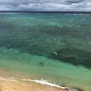 ちゃりママの画像