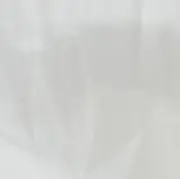 ゆにの画像