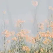 ✿の画像