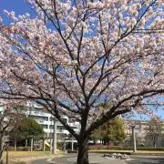 もりもり