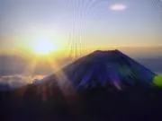 ヨッシーの画像