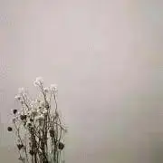 25の画像