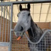 すりすりの画像
