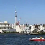 ★じんりんごの画像