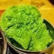 葉っぱの画像