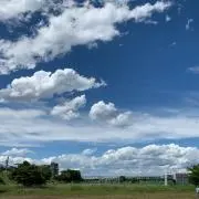 だいの画像
