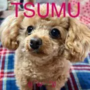 Cocoa♡⸜(*ˊᗜˋ*)⸝♡Lunaの画像