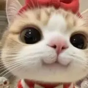 ゆんの画像