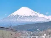 めるちゃんの画像