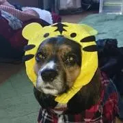ひったん プロフ見てね(^o^)の画像