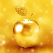 cookie☆の画像