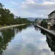 ダイキの画像