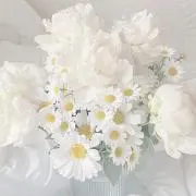 かりんの画像
