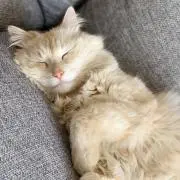 ☆ゆきち☆