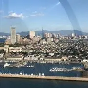てんの画像