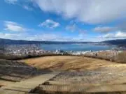 みつはの画像