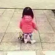 ポテコの画像