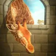 giraffeの画像