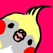 ともびー*の画像