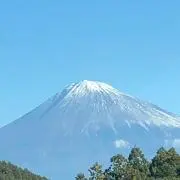 もやし