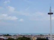 Kaanの画像