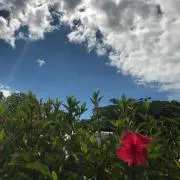 manamiの画像