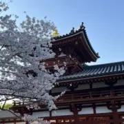 らっふぃーの画像