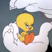 ゆか丸の画像