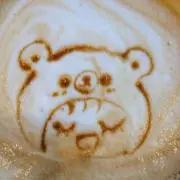 ゆきんこの画像