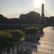 RYUMI