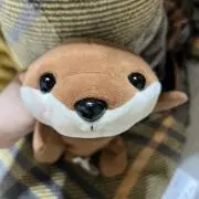 ちゃんなの画像
