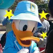 こっぴの画像