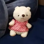 ジーコ