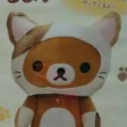 HACHi プロフ必読