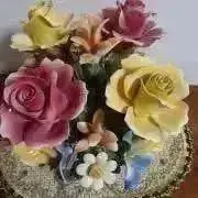 カノンの画像