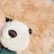ありこの画像