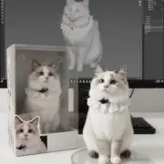 しえるの画像