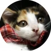 Hanaの画像