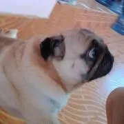 MMさん