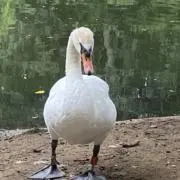 ひろの画像
