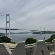 イグアナの画像