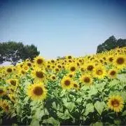 m-fの画像