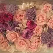 ♡Y Y Y♡