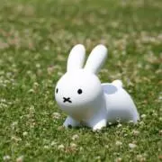 うさこの画像
