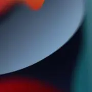 Lilyの画像