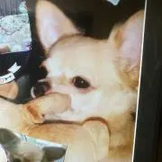 嵐