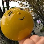 ぬんの画像