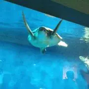 ゆうきょうか☆の画像
